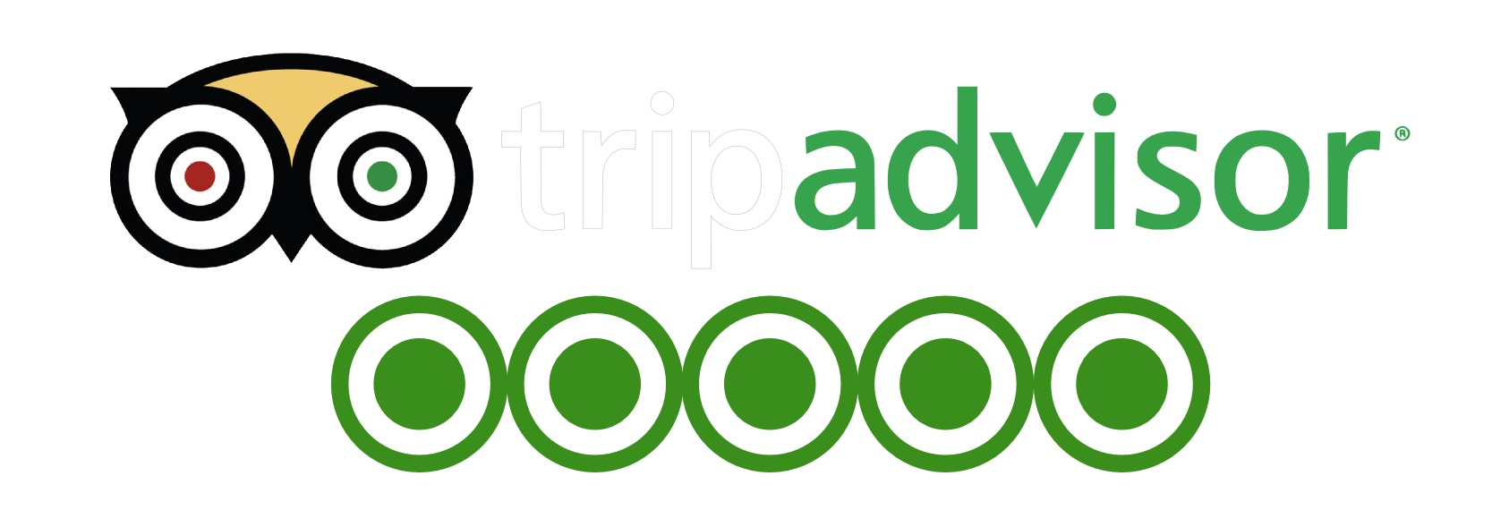 Trip Advisor